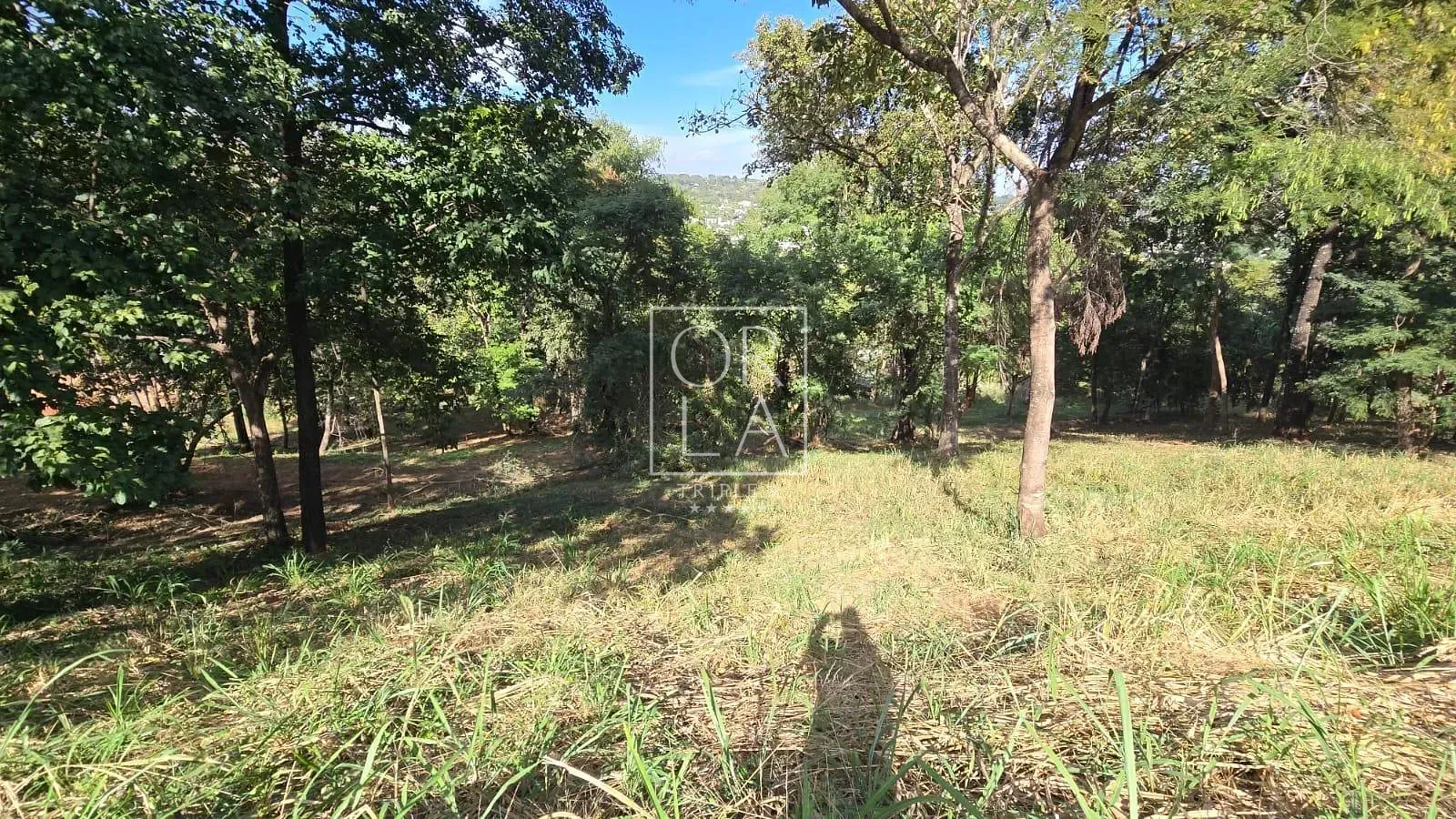 Foto 12