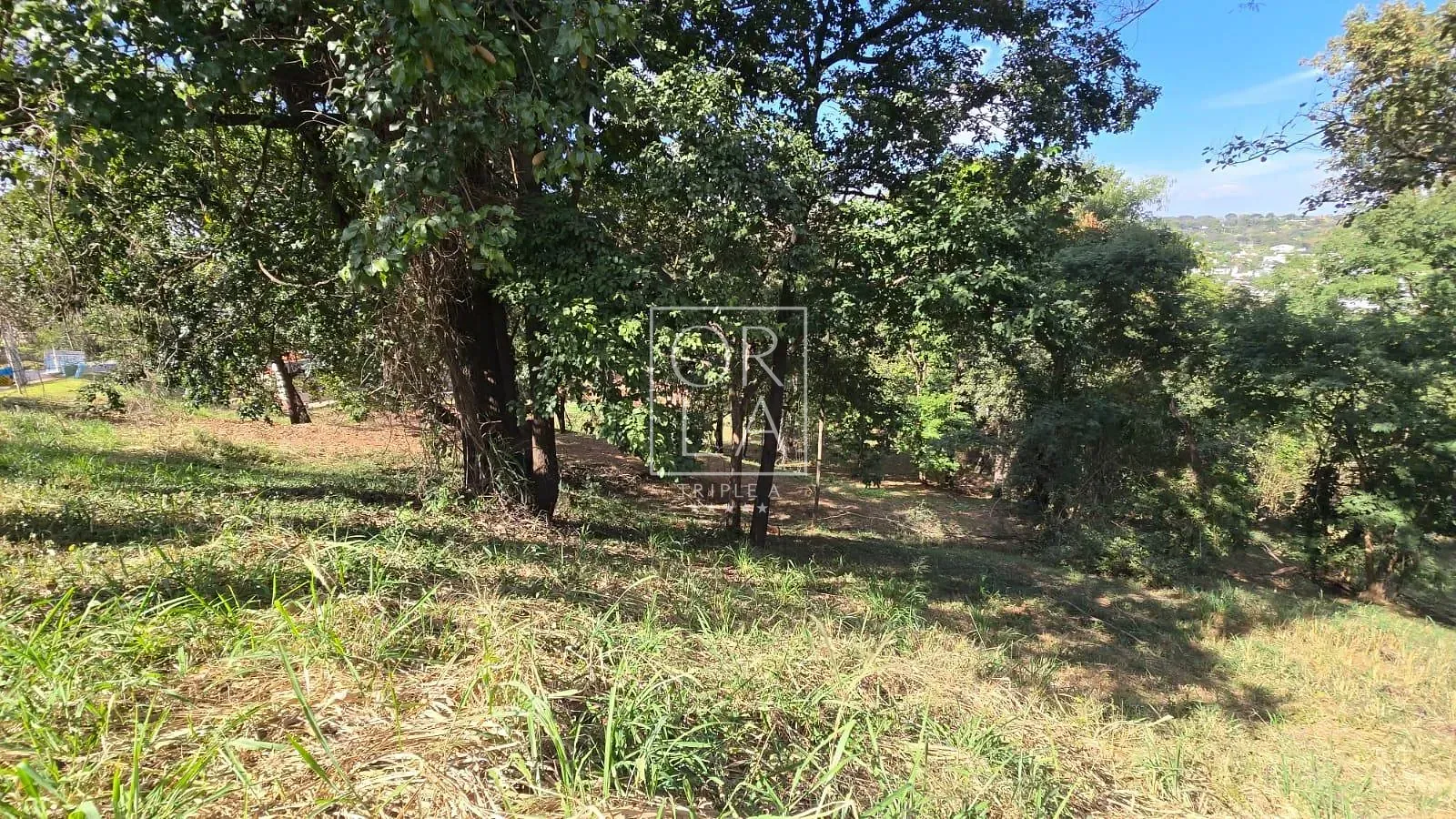 Foto 13
