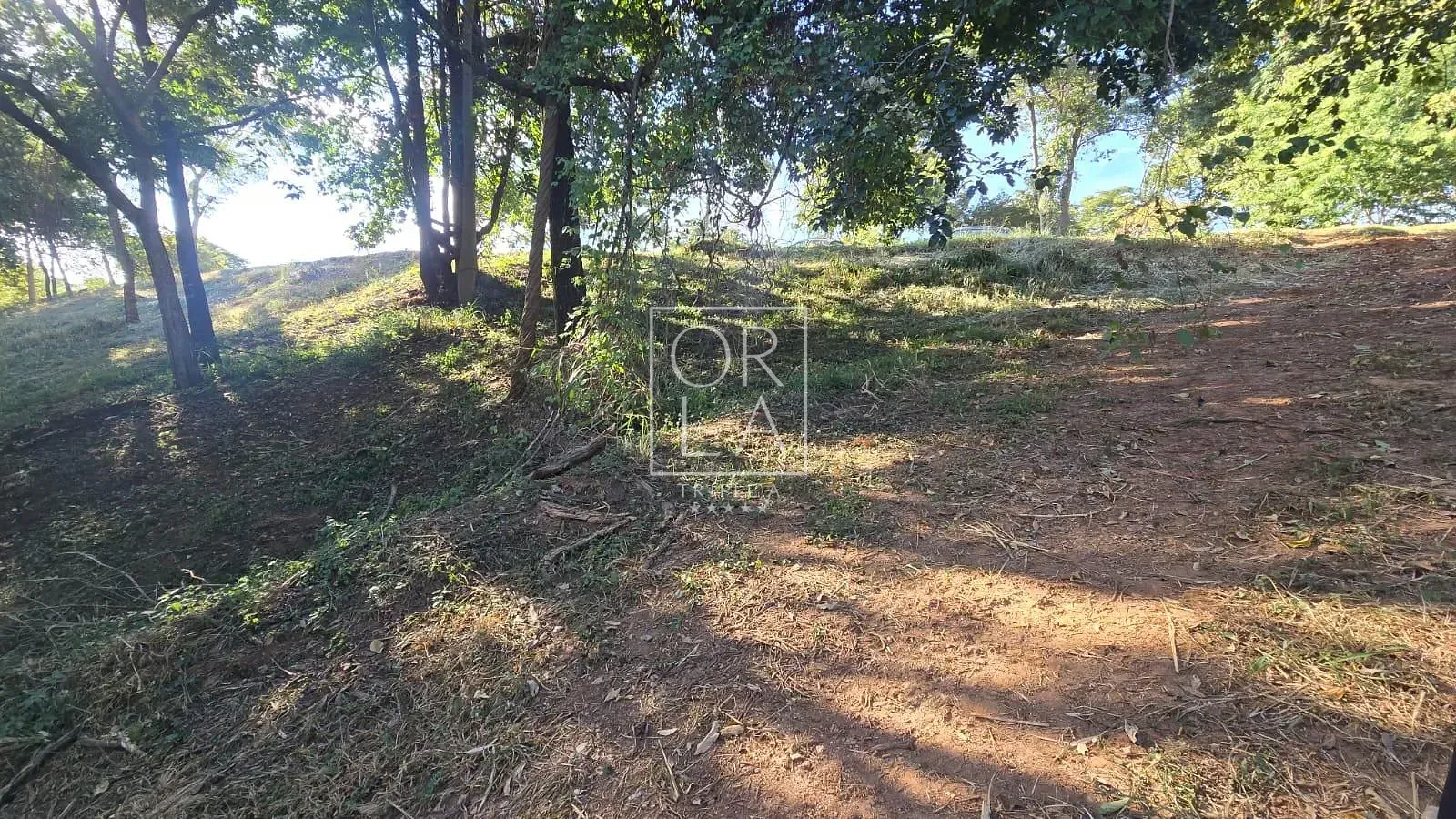Foto 17