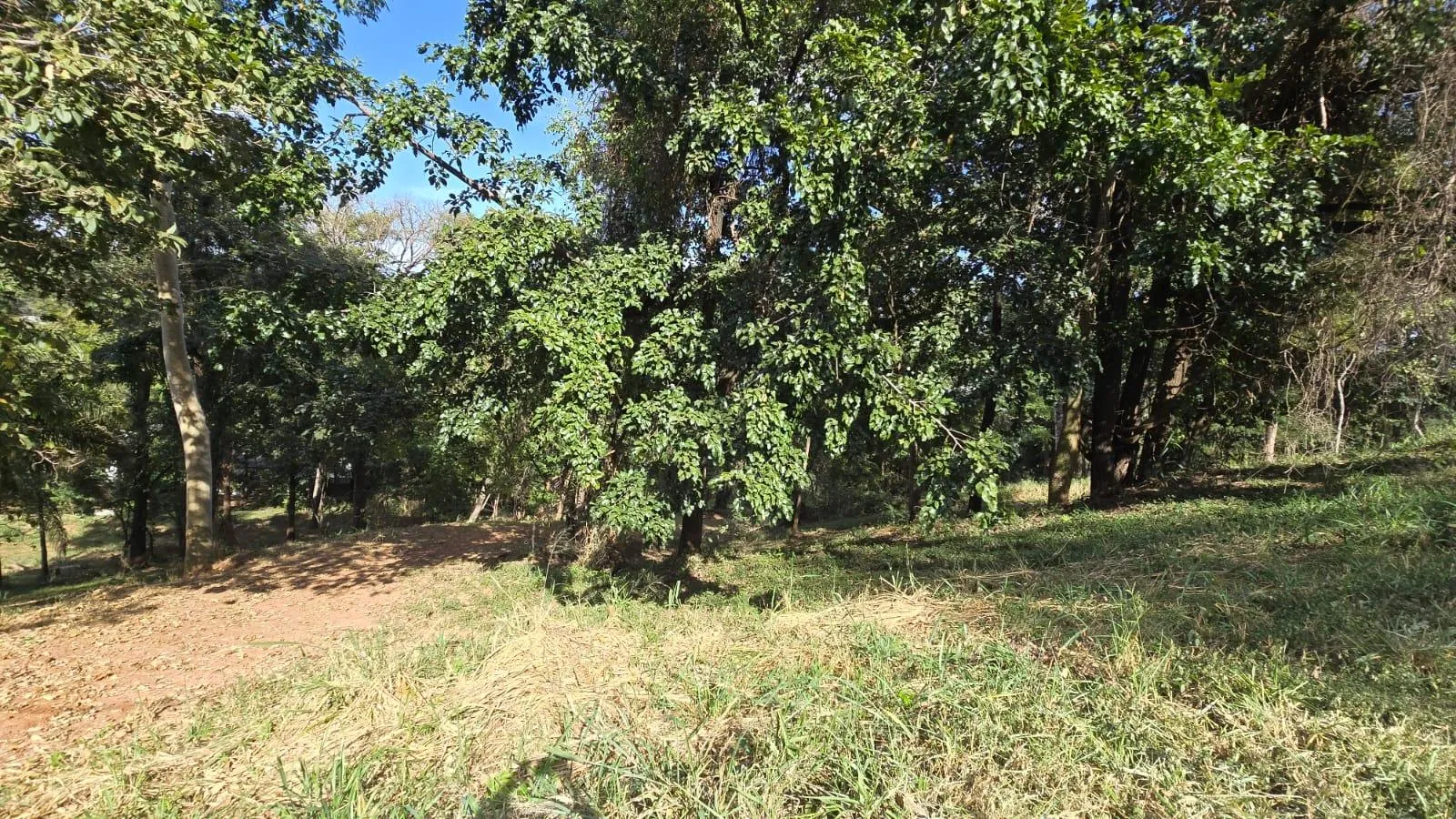 Foto 11