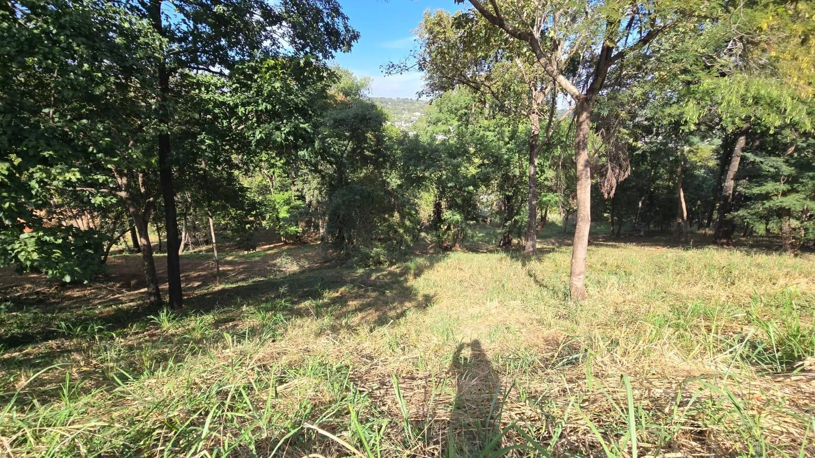 Foto 12