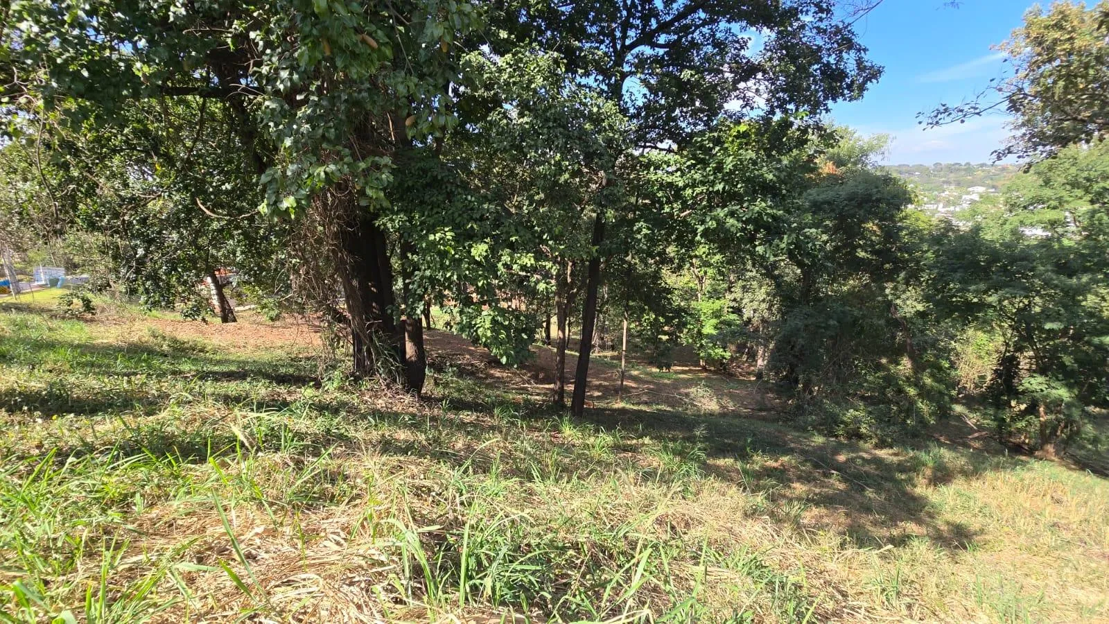 Foto 13