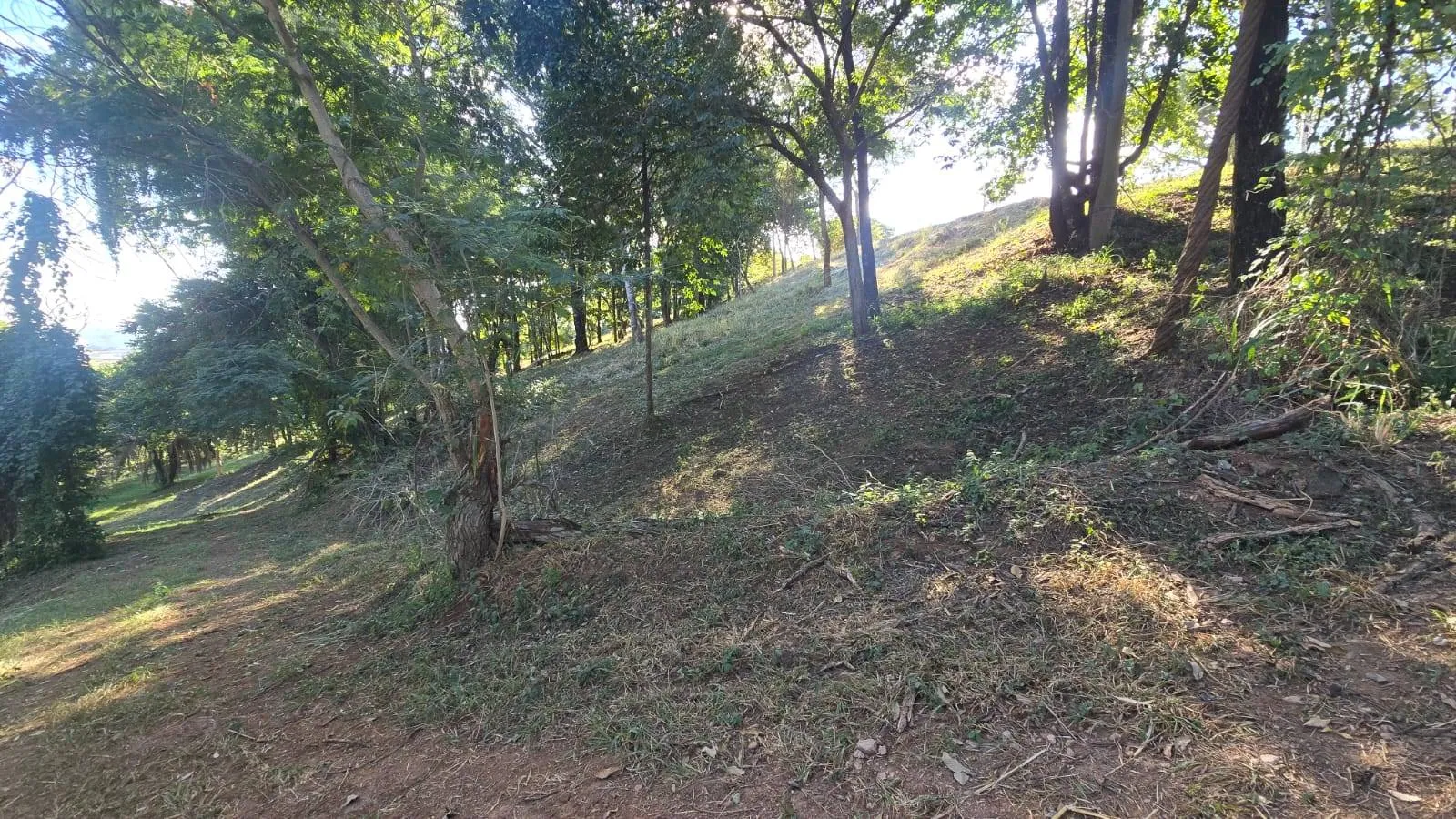 Foto 15