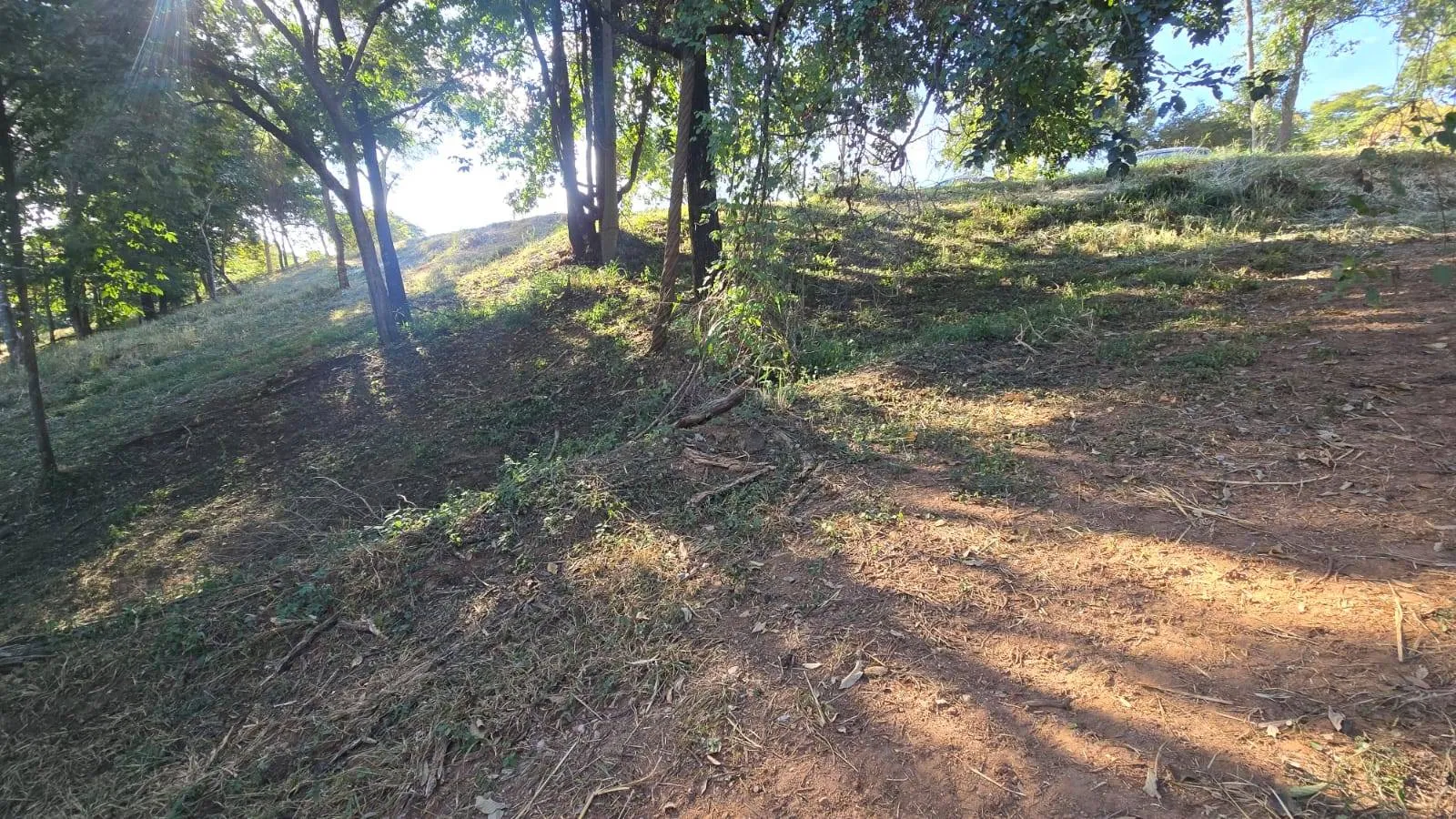 Foto 16