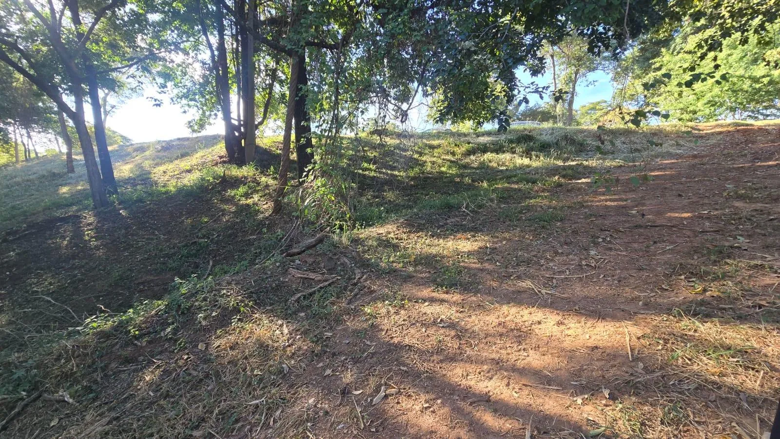 Foto 17