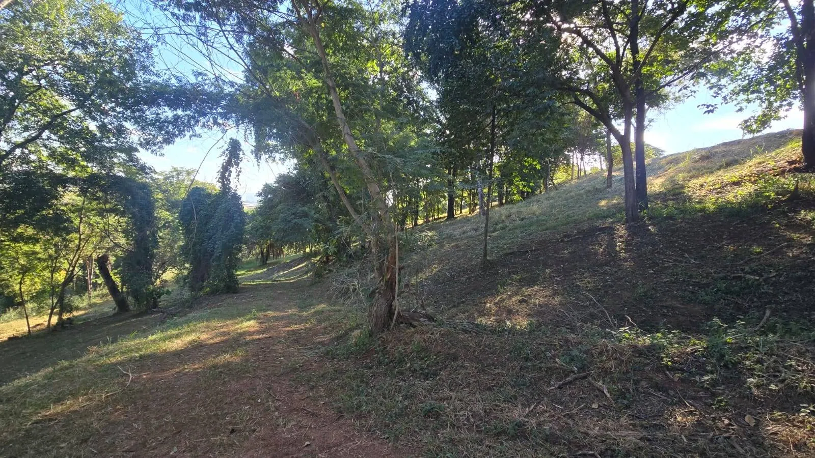 Foto 18