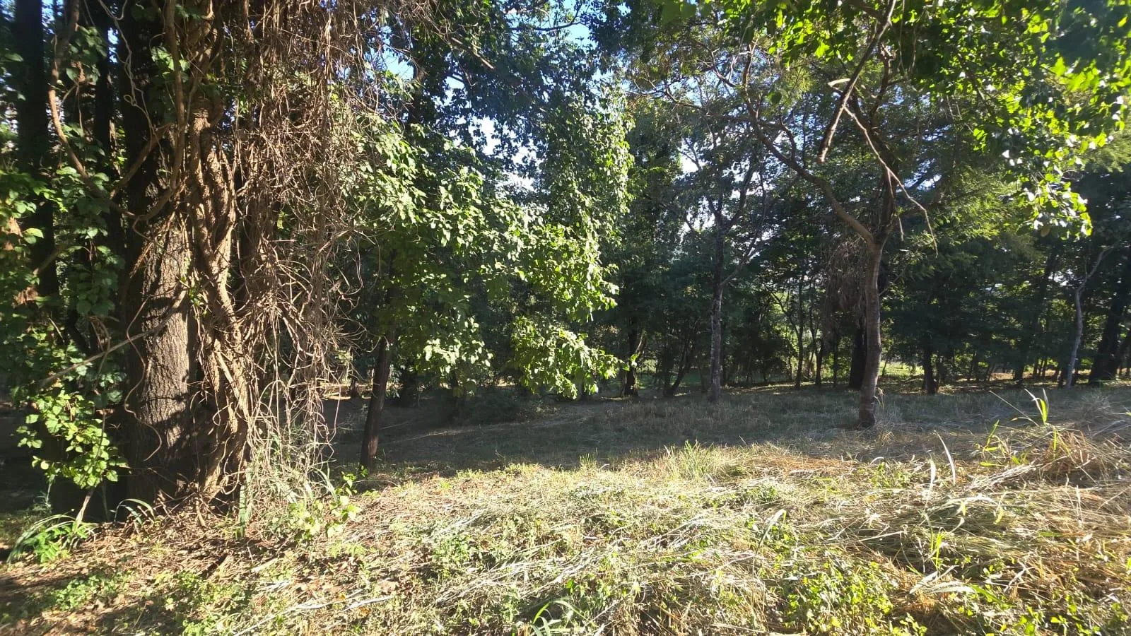 Foto 23