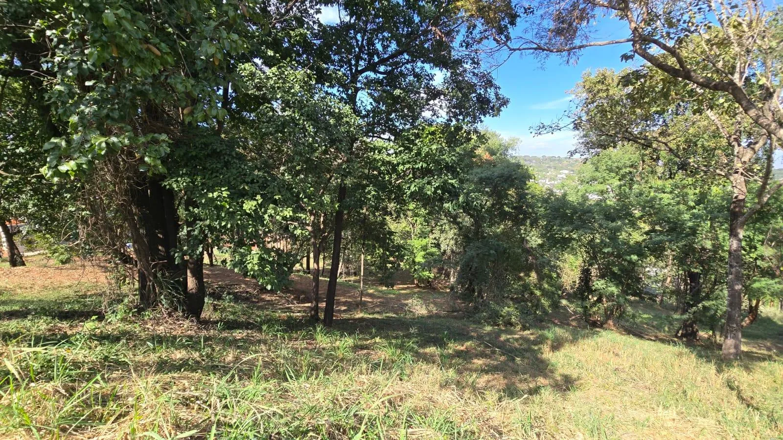 Foto 10